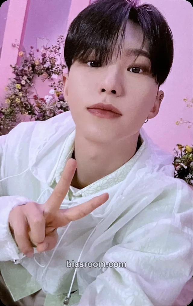 Hoshi SEVENTEEN [FOLLOW] TOUR K-pop photocard