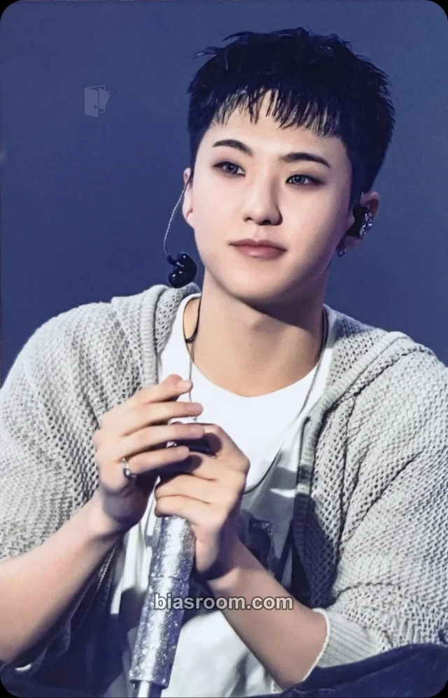 Hoshi SEVENTEEN Japan Fanmeeting [HOLIDAY] Media - Blu-ray/Digicode K-pop photocard