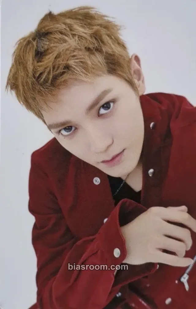 Taeyong NCT 127 NCT 127 5TH TOUR 'NEO CITY : THE REDLINE' TOUR K-pop photocard