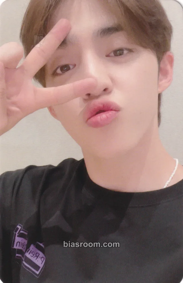 S.Coups SEVENTEEN Face the Sun K-pop photocard