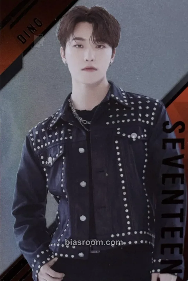 Dino SEVENTEEN Bandai x SEVENTEEN Brand Collaboration K-pop photocard