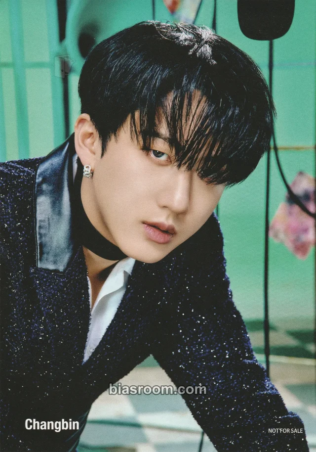Photocard K-pop Changbin Stray Kids THE SOUND
