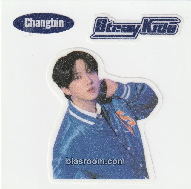 Photocard K-pop Changbin Stray Kids 2024 JYP Japan Pop-Up Store