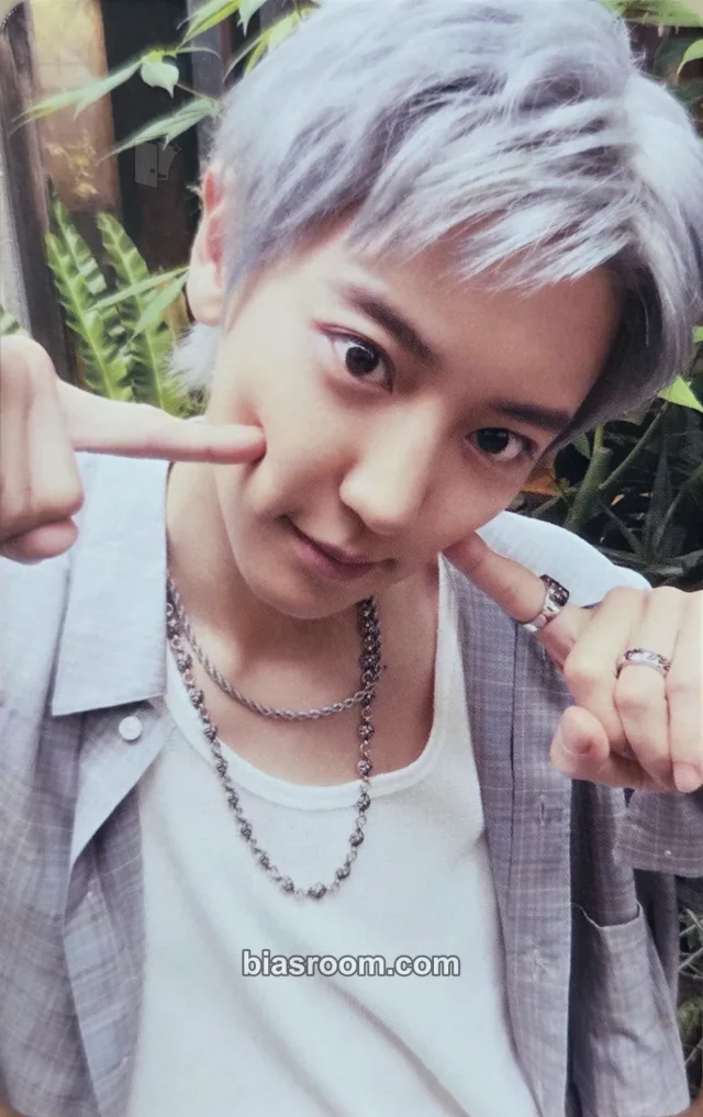 Chanyeol EXO TABI K-pop photocard