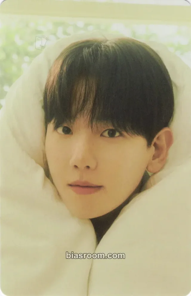 Baekhyun EXO DICON Magazine × EXO K-pop photocard