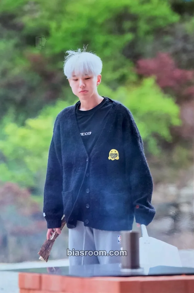 Photocard K-pop di Hoshi SEVENTEEN In The Soop with SEVENTEEN Media - VOD & MERCHANDISE