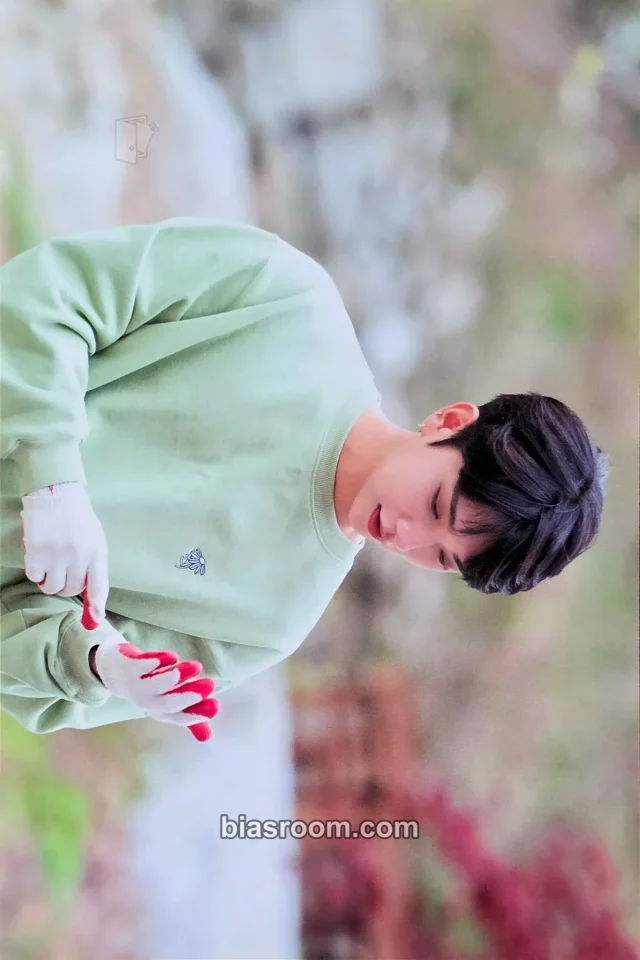 Joshua SEVENTEEN In The Soop with SEVENTEEN Media - VOD & MERCHANDISE K-pop photocard