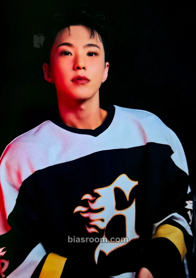 Hoshi SEVENTEEN 2025 Seventeen's Home Merchandise K-pop 小卡
