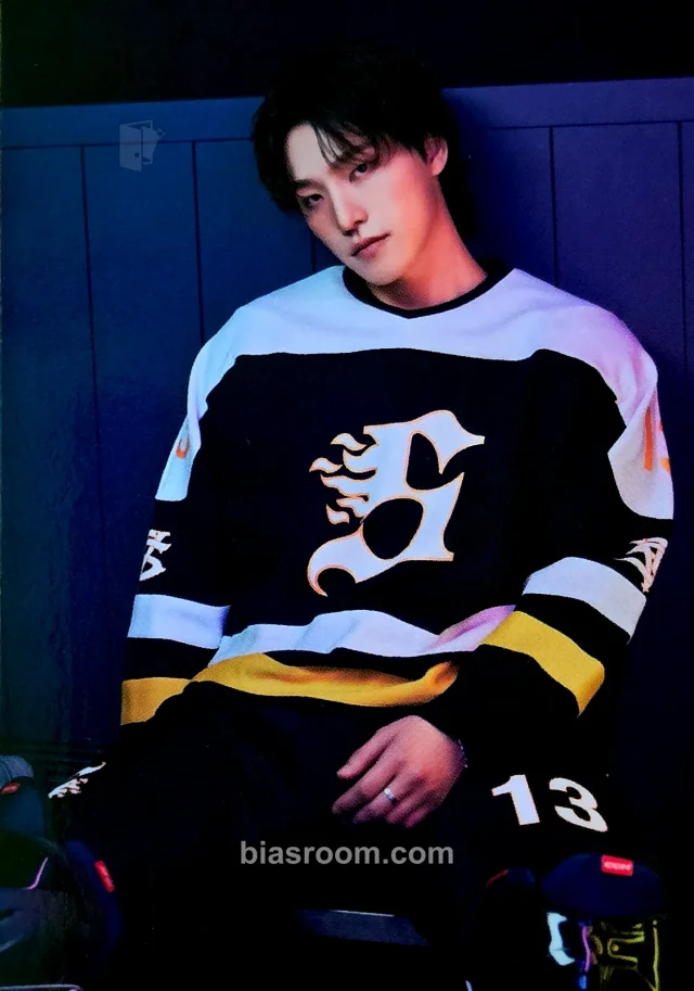 Dino SEVENTEEN 2025 Seventeen's Home Merchandise K-pop 小卡