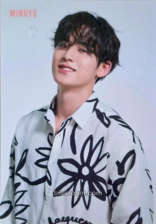 Mingyu SEVENTEEN SEVENTEEN CAFE IN JAPAN [SUNSET RESORT] K-pop 小卡