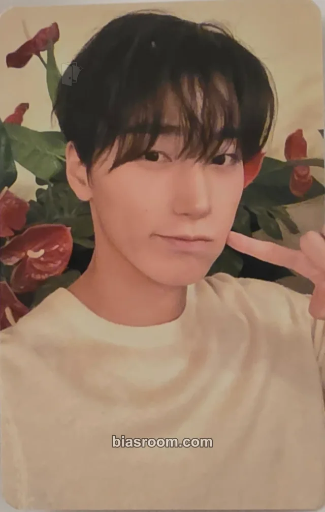San ATEEZ 82WORLD: LA K-pop 小卡