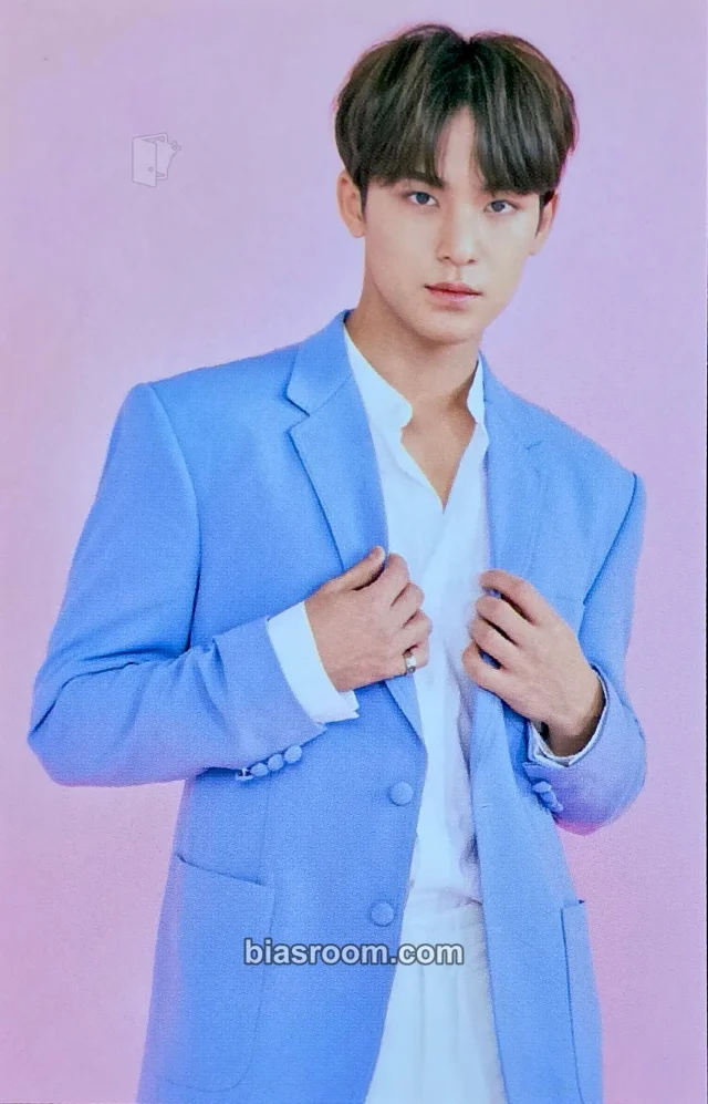 Mingyu SEVENTEEN 2019 3RD SVT IN CARAT LAND K-pop 小卡