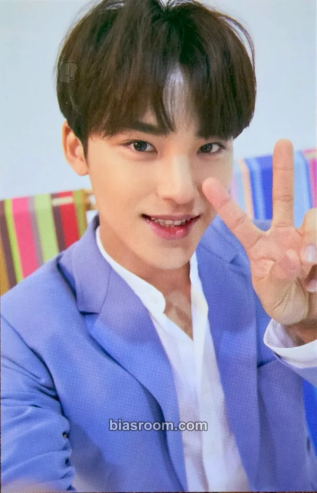 Mingyu SEVENTEEN 2019 3RD SVT IN CARAT LAND K-pop 小卡