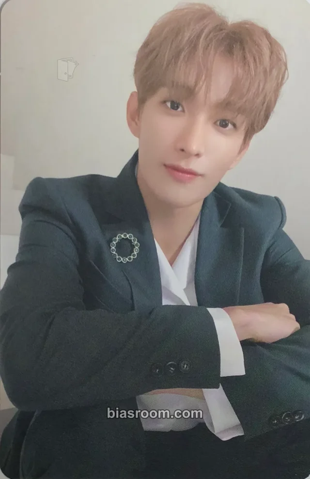DK SEVENTEEN Fallin' Flower K-pop photocard