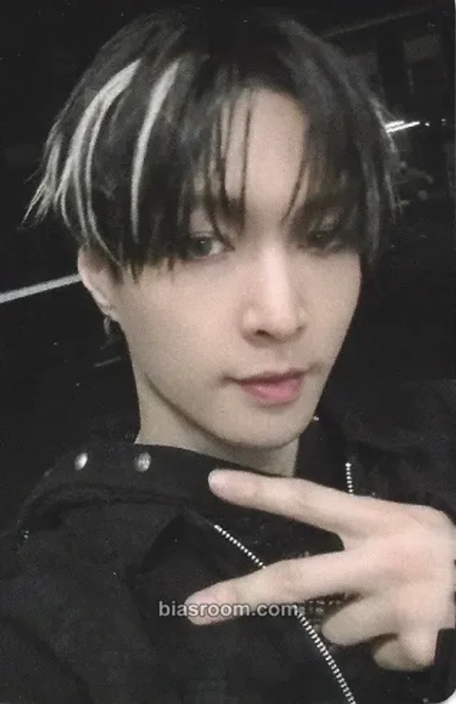 Lay EXO REVERXE K-pop photocard