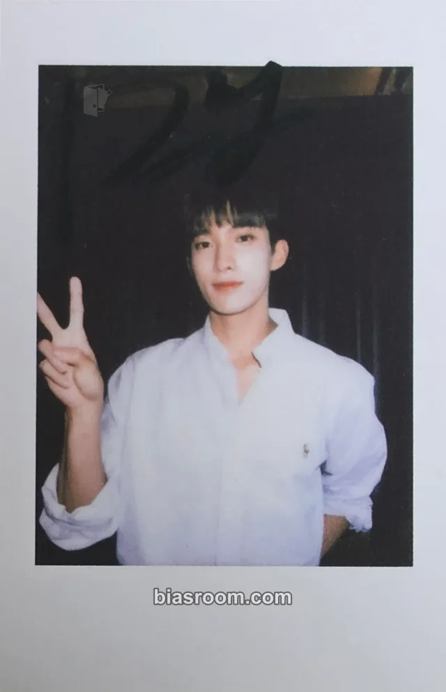 DK SEVENTEEN SECTOR 17 K-pop photocard