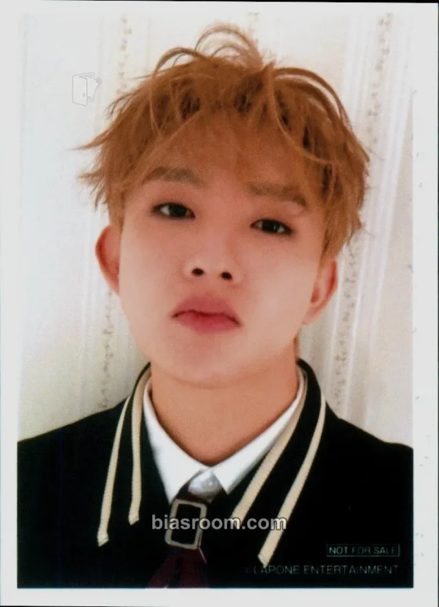 Shogo INI KCON JAPAN 2026 K-pop photocard