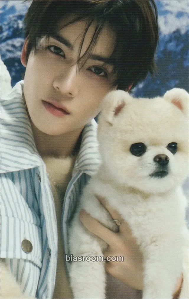Yorch POW COME TRUE K-pop photocard