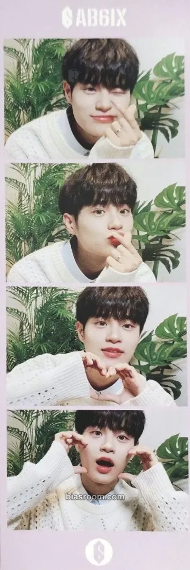Daehwi AB6IX Absolute 6IX K-pop photocard