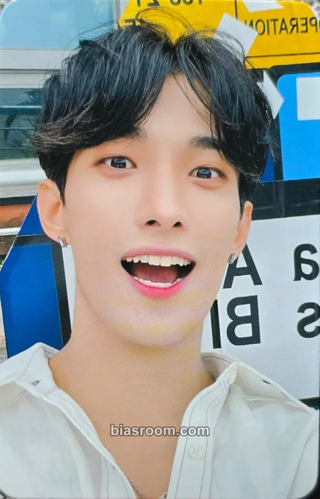 DK SEVENTEEN SECTOR 17 K-pop photocard
