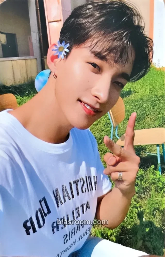 DK SEVENTEEN Your Choice K-pop photocard