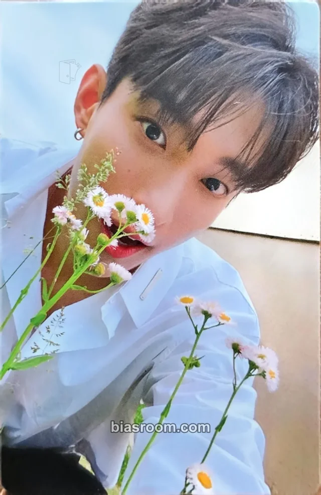DK SEVENTEEN Your Choice K-pop photocard