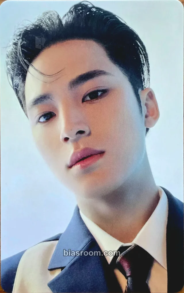 Photocard K-pop di Mingyu SEVENTEEN [BE THE SUN] WORLD TOUR