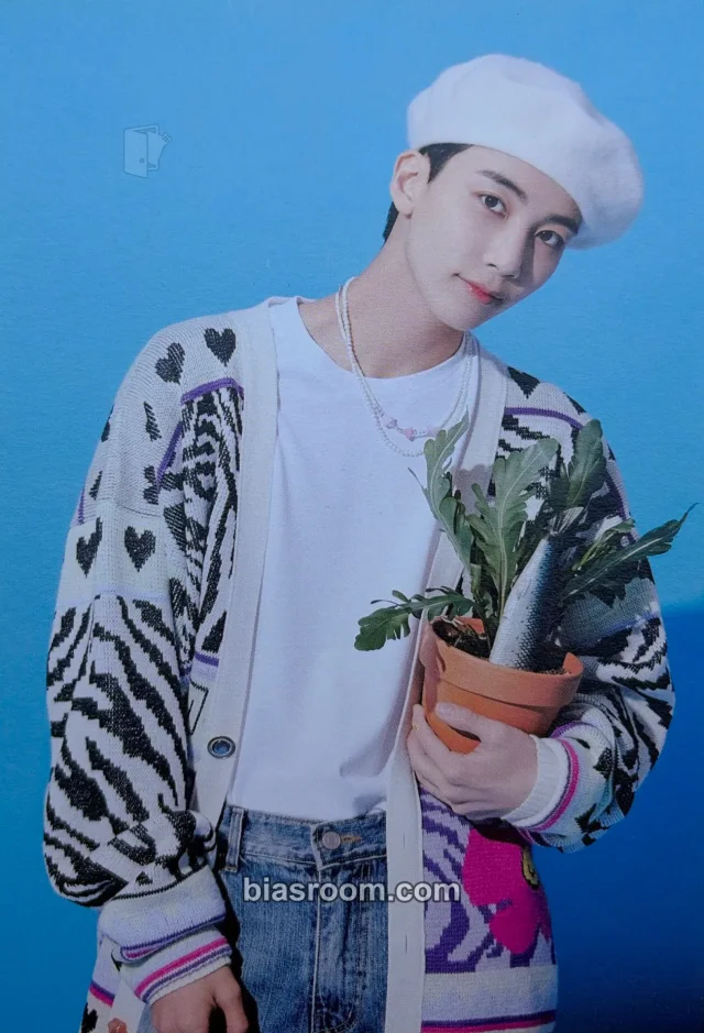 Photocard K-pop Jeonghan SEVENTEEN The Name; 17 Photobook