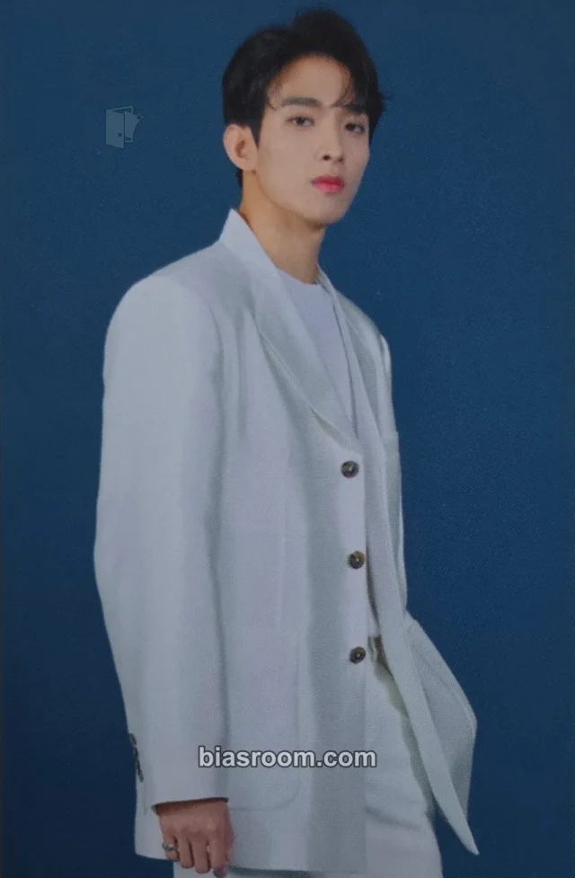 DK SEVENTEEN [ODE TO YOU] TOUR K-pop photocard