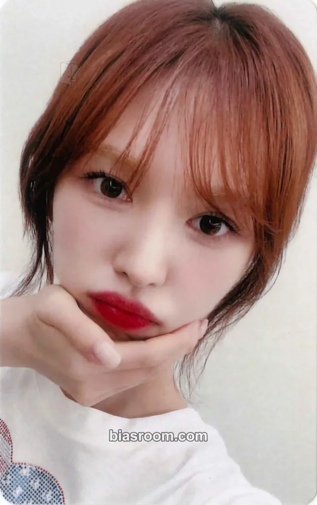 Wendy Red Velvet W:ealive 2025 Wendy 1st WORLD TOUR K-pop photocard