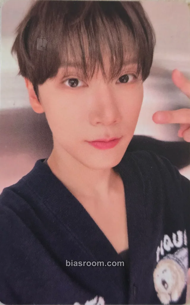 Ten WayV BIG BANDS K-pop photocard