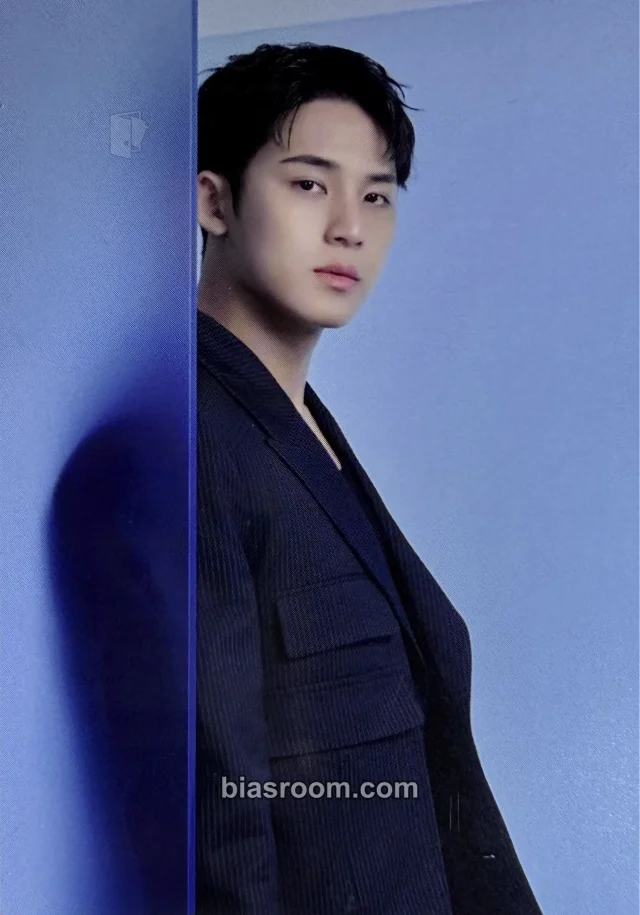 Mingyu SEVENTEEN [NEW_] WORLD TOUR K-pop 小卡