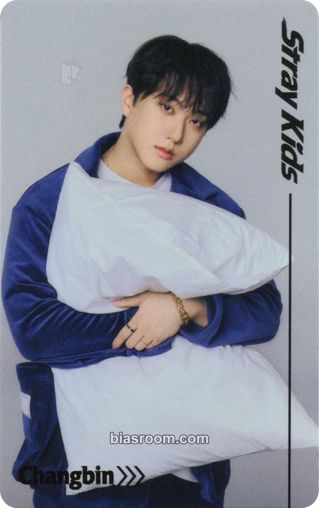 Photocard K-pop Changbin Stray Kids RUN IT World Tour