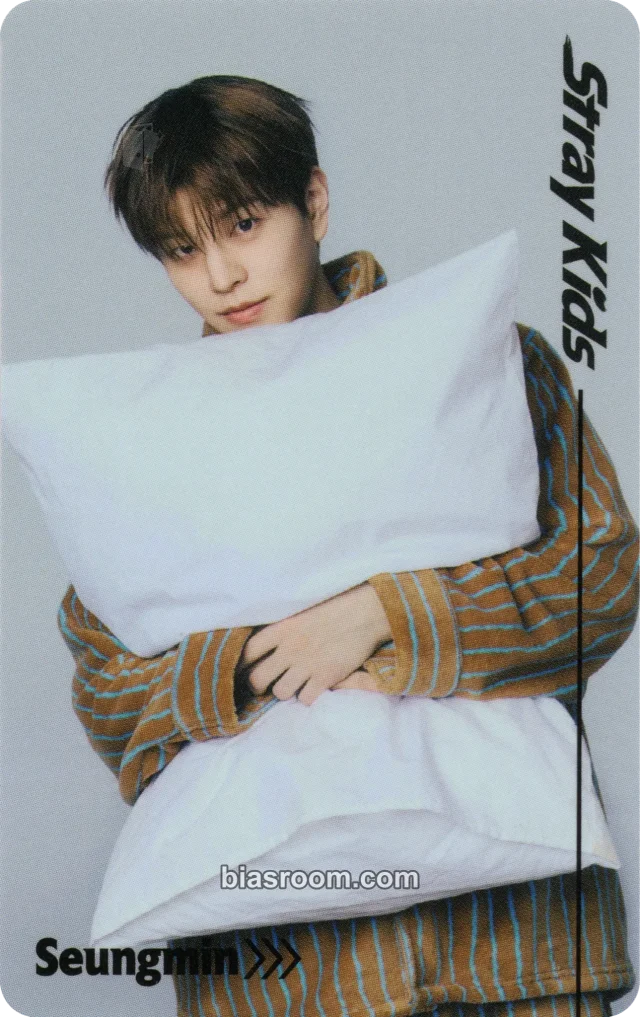 Photocard K-pop Seungmin Stray Kids RUN IT World Tour