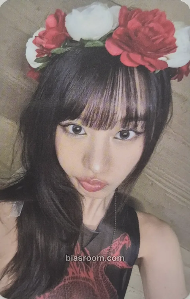 Natty KISS OF LIFE SWEAT K-pop 小卡