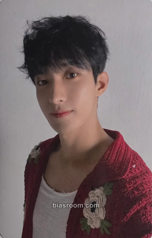 DK SEVENTEEN Seventeenth Heaven K-pop Photocard