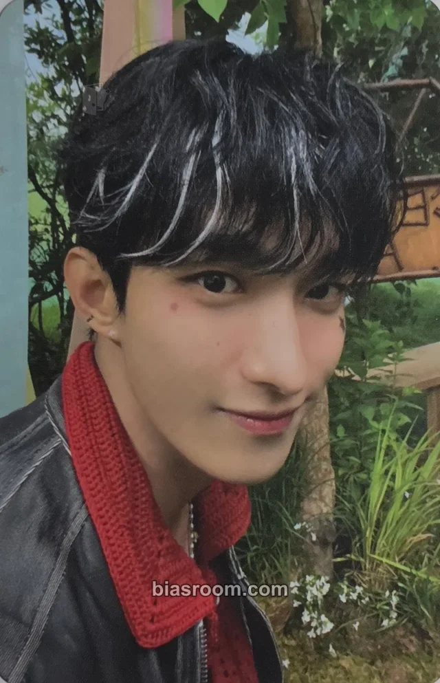 DK SEVENTEEN Seventeenth Heaven K-pop Photocard