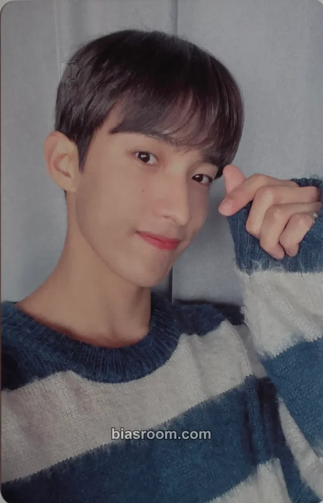DK SEVENTEEN Attacca K-pop Photocard