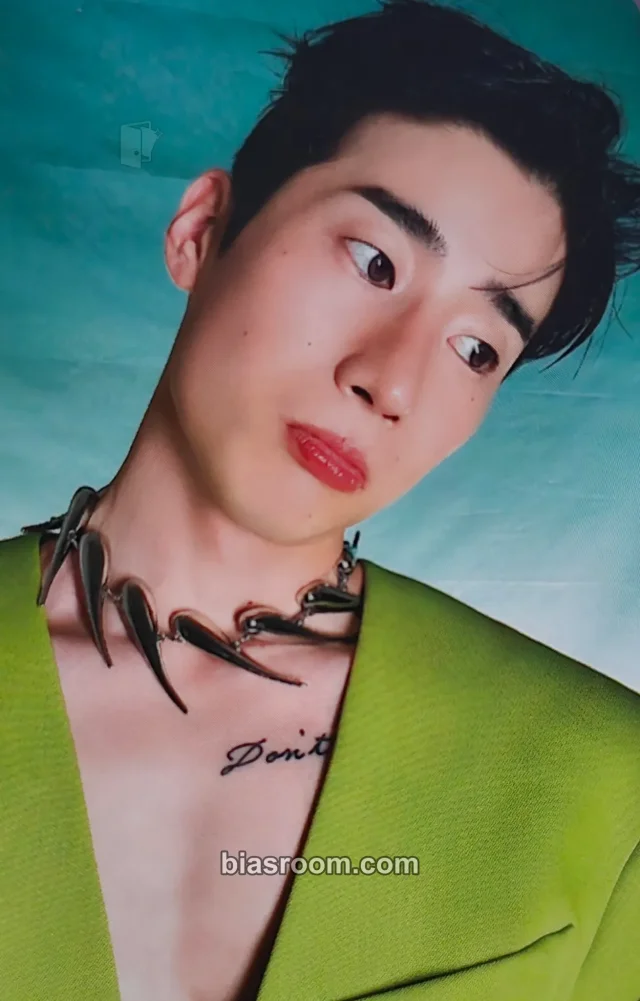Seungwoo  VICTON FRAME K-pop photocard