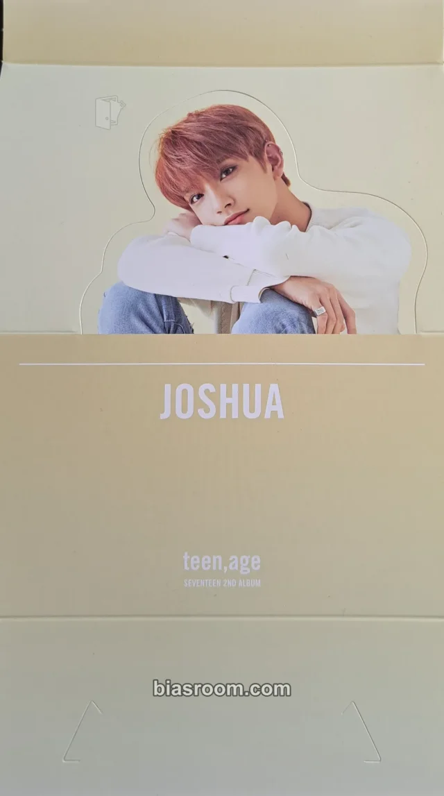 Joshua SEVENTEEN TEEN,AGE  K-pop photocard