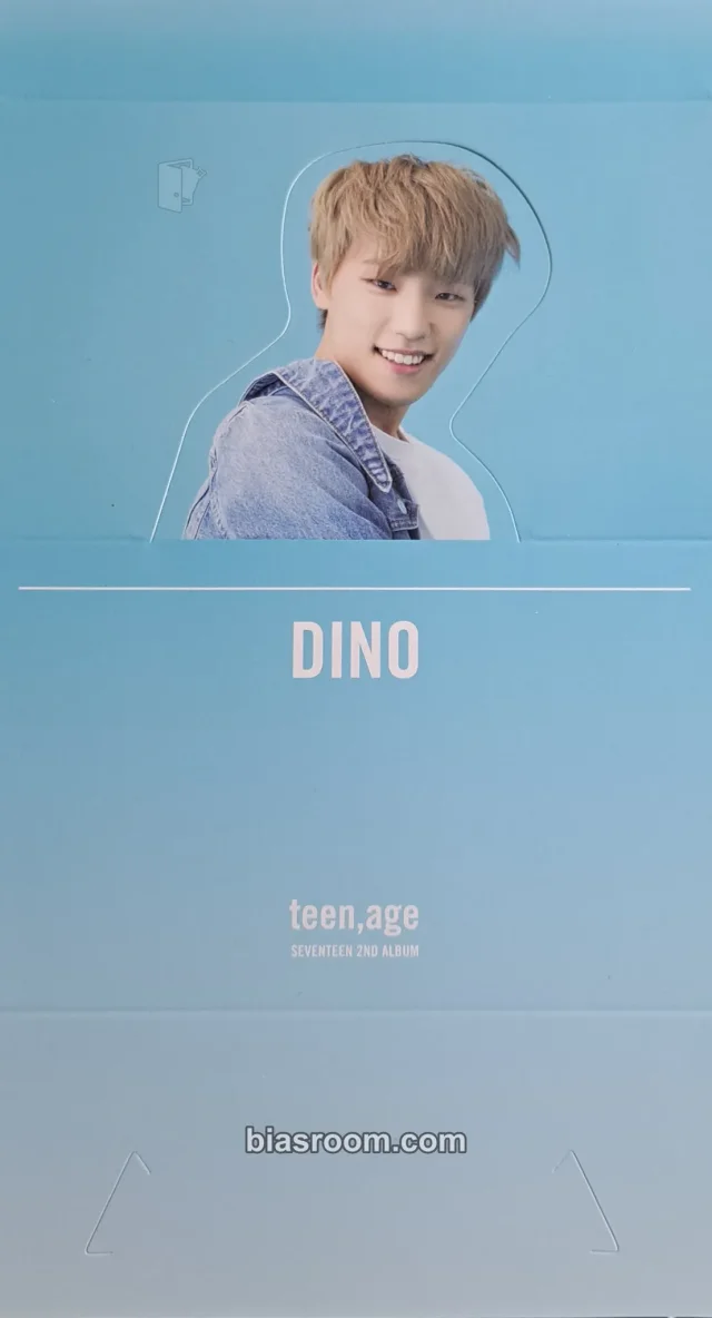 Dino SEVENTEEN TEEN,AGE  K-pop photocard