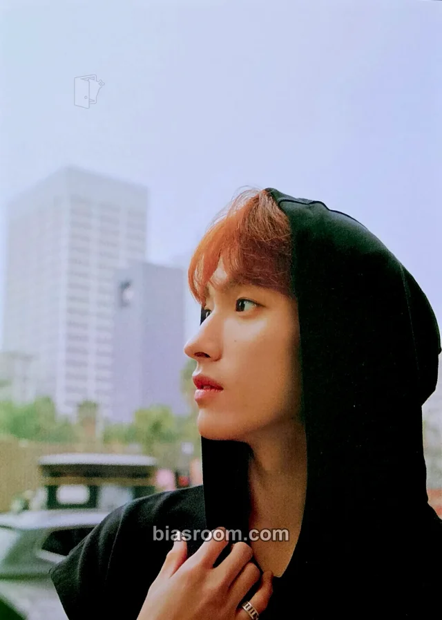 DK SEVENTEEN Heng:garæ K-pop Photocard
