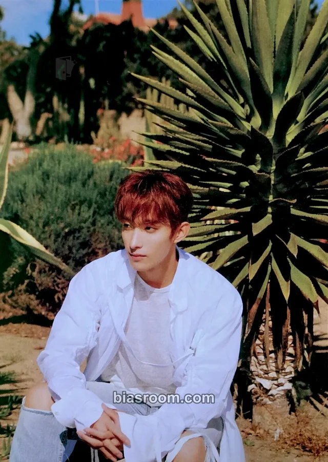 DK SEVENTEEN Heng:garæ K-pop Photocard