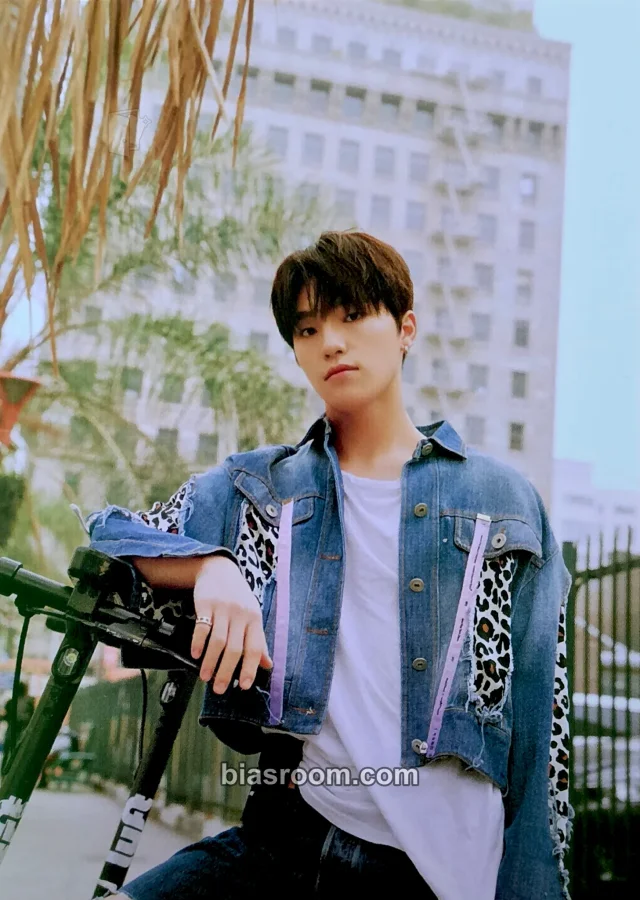 Dino SEVENTEEN Heng:garæ K-pop Photocard