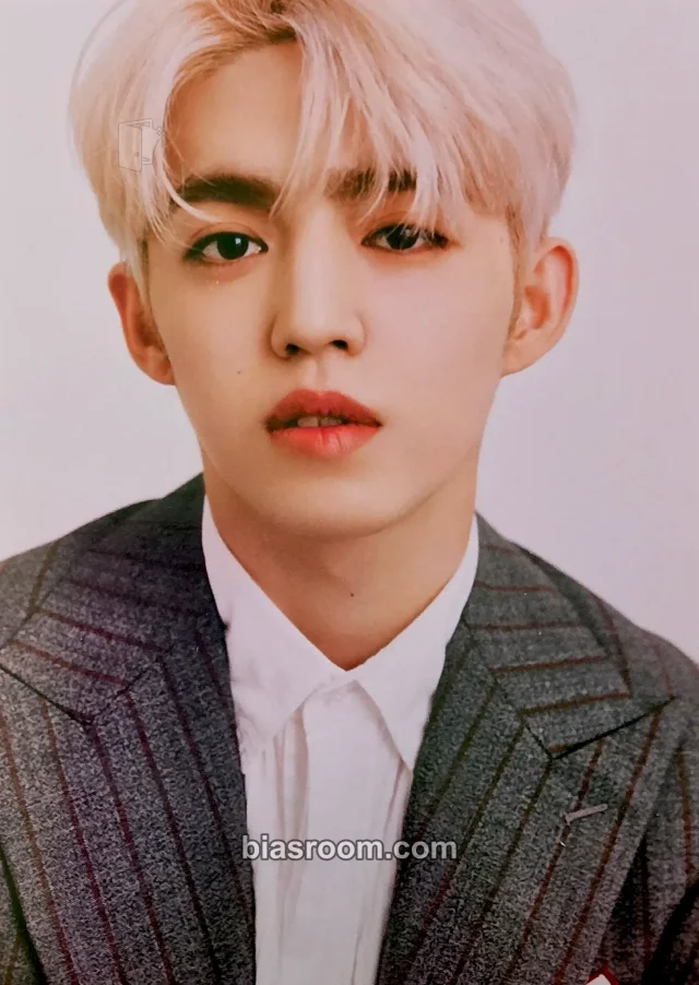 S.Coups SEVENTEEN An Ode K-pop photocard