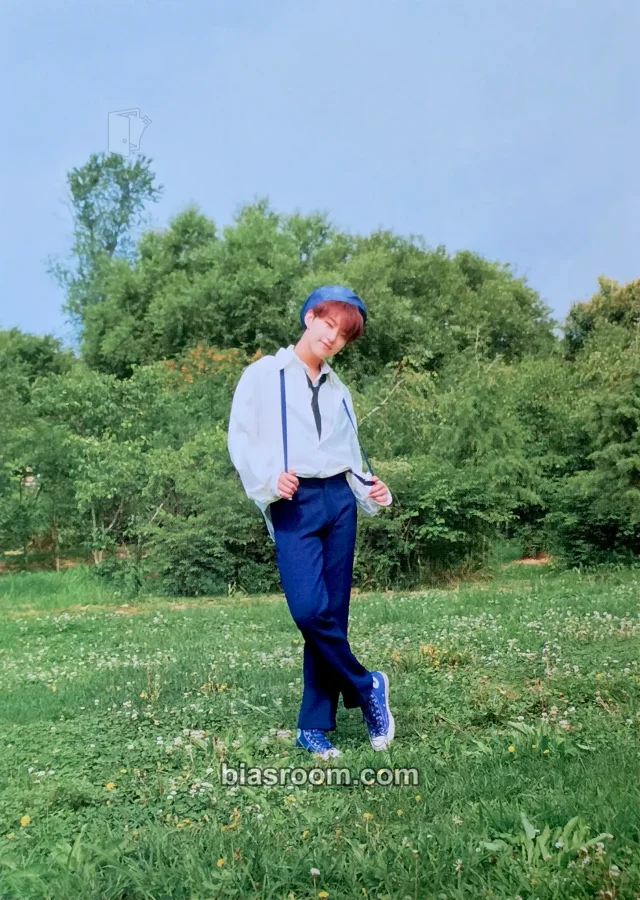 Hoshi SEVENTEEN An Ode K-pop 小卡