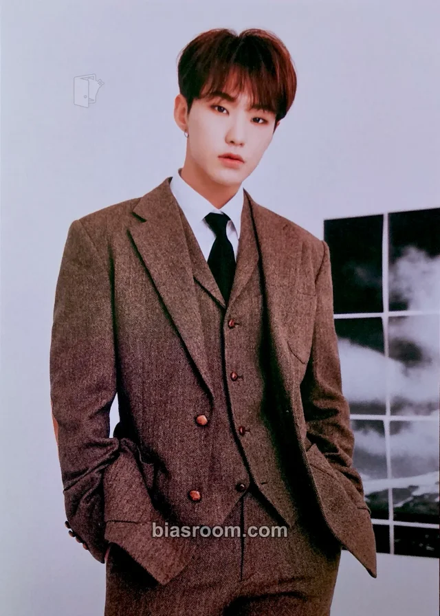 Hoshi SEVENTEEN An Ode K-pop 小卡