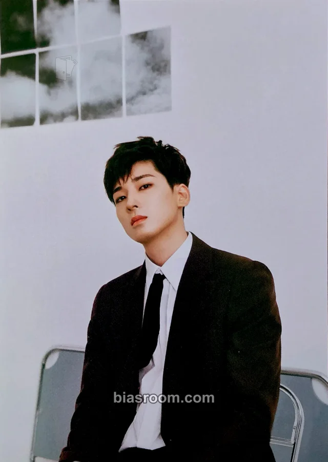 Photocard K-pop de Wonwoo SEVENTEEN An Ode