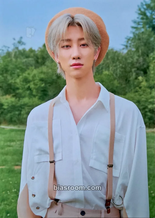 The8 SEVENTEEN An Ode K-pop 포토카드