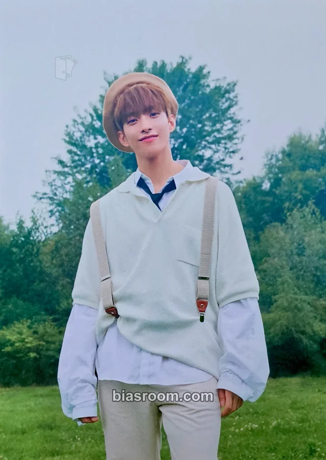 DK SEVENTEEN An Ode K-pop Photocard